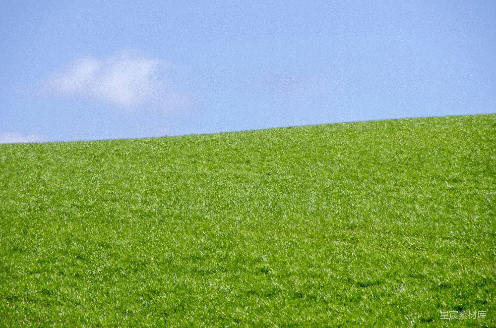 高清摄影  蓝天下的绿草地