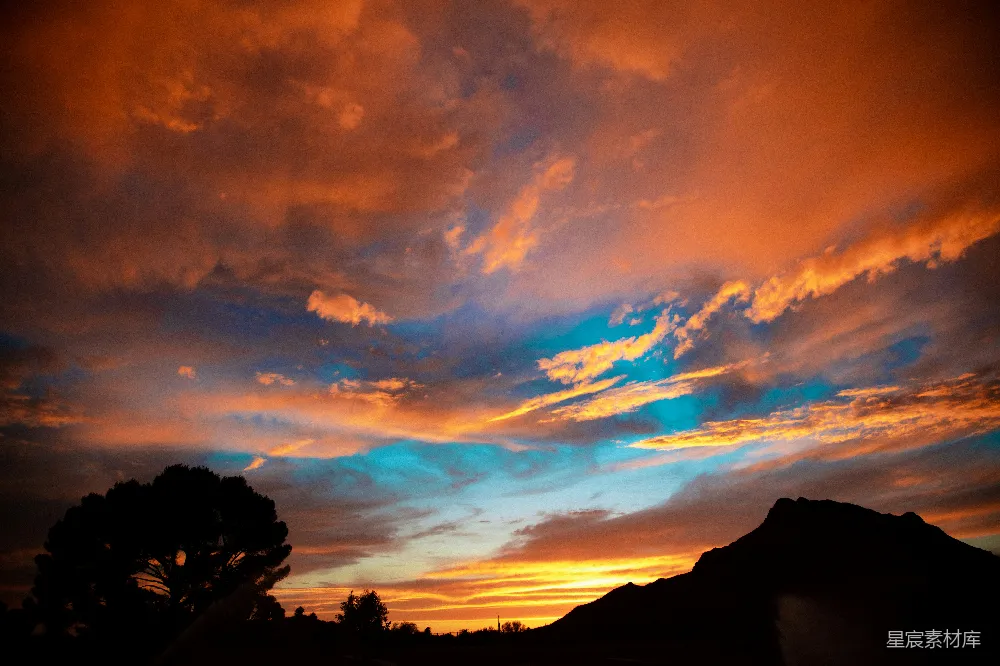 高清摄影 旅行 自然 夕阳西下，云层低垂，树木的剪影显得格外清晰。