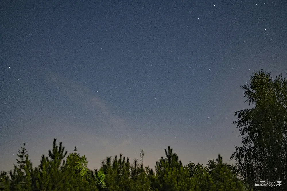 夜空中绿树下的景色