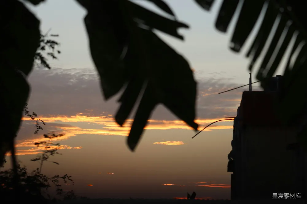 夕阳落在一座建筑后面，前面有一棵棕榈树。