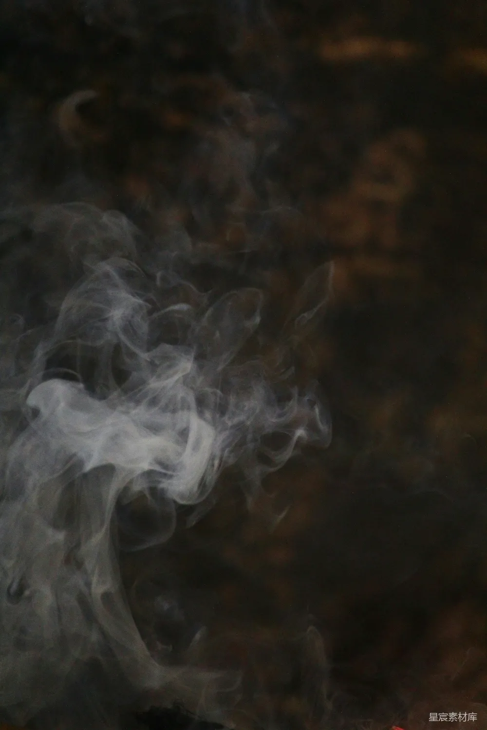高清摄影 壁纸 实验性 电影 一张胎儿的特写照片