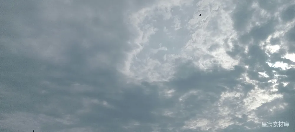 高清摄影  在多云的天空中，风筝高高地飘扬着。