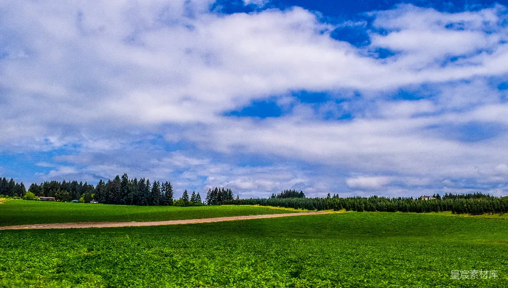 白天绿草地上空有阴云的景象