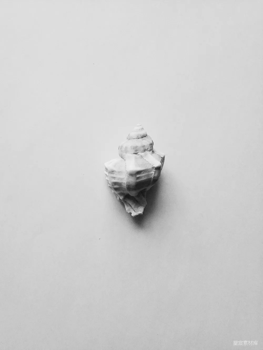 高清摄影  白底黑花陶瓷雕像