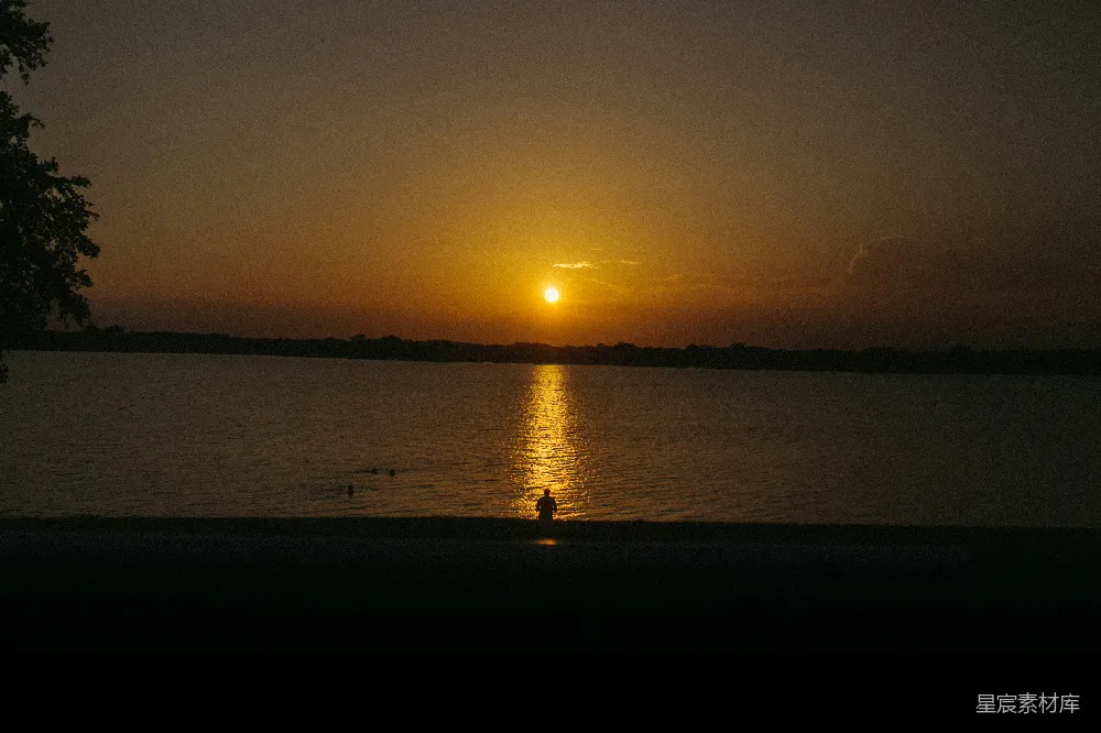 水面上的夕阳与水中觅食的鸭子交织的画面