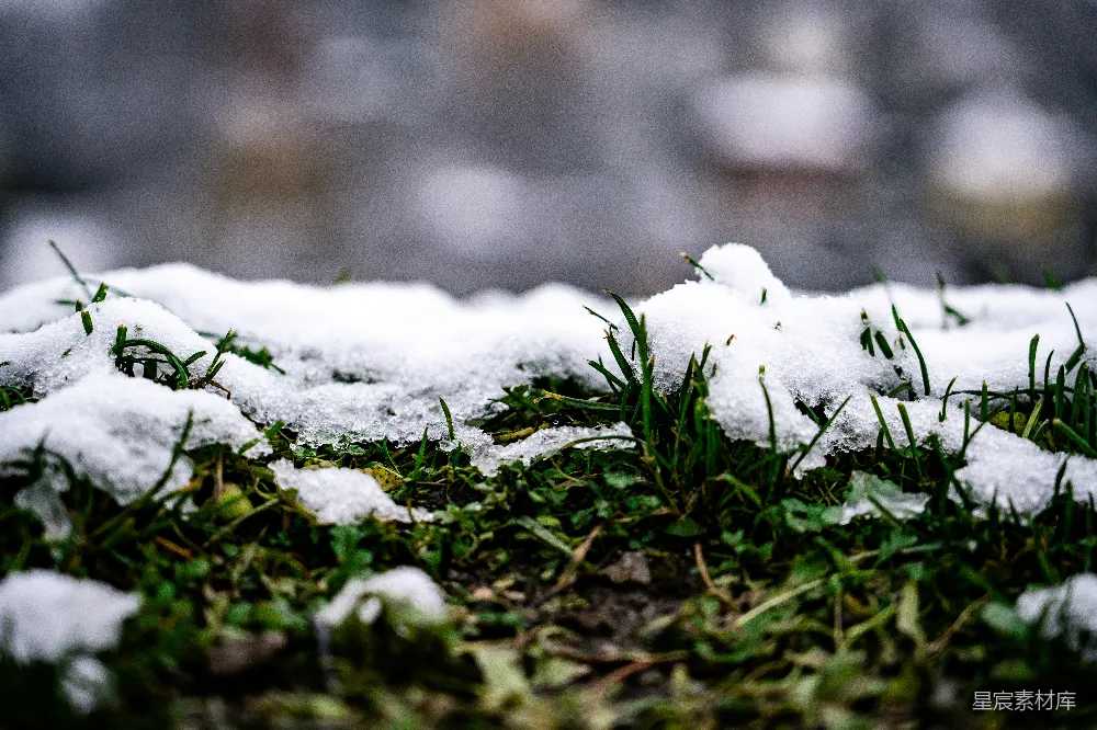 一些雪的特写镜头
