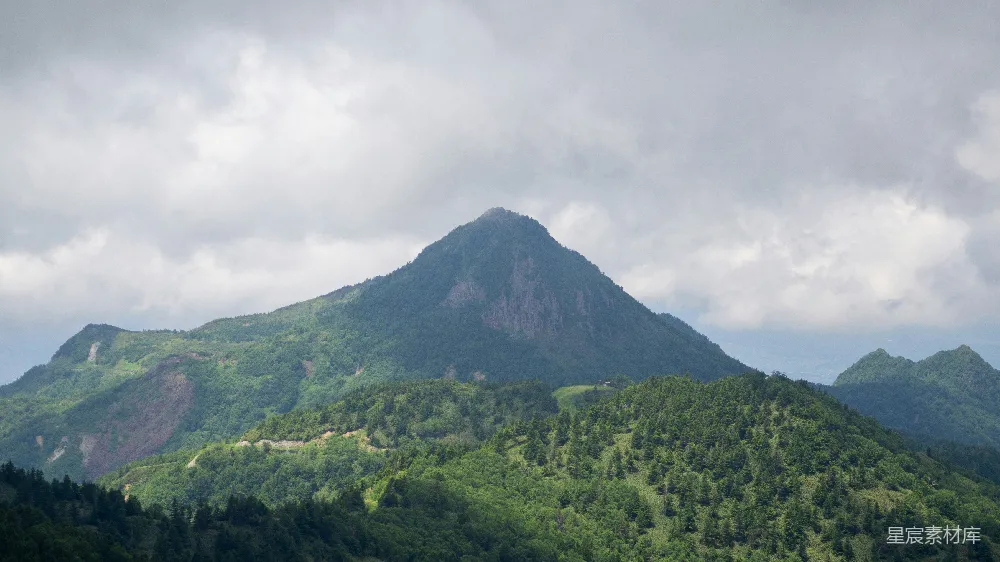 树丛中的山
