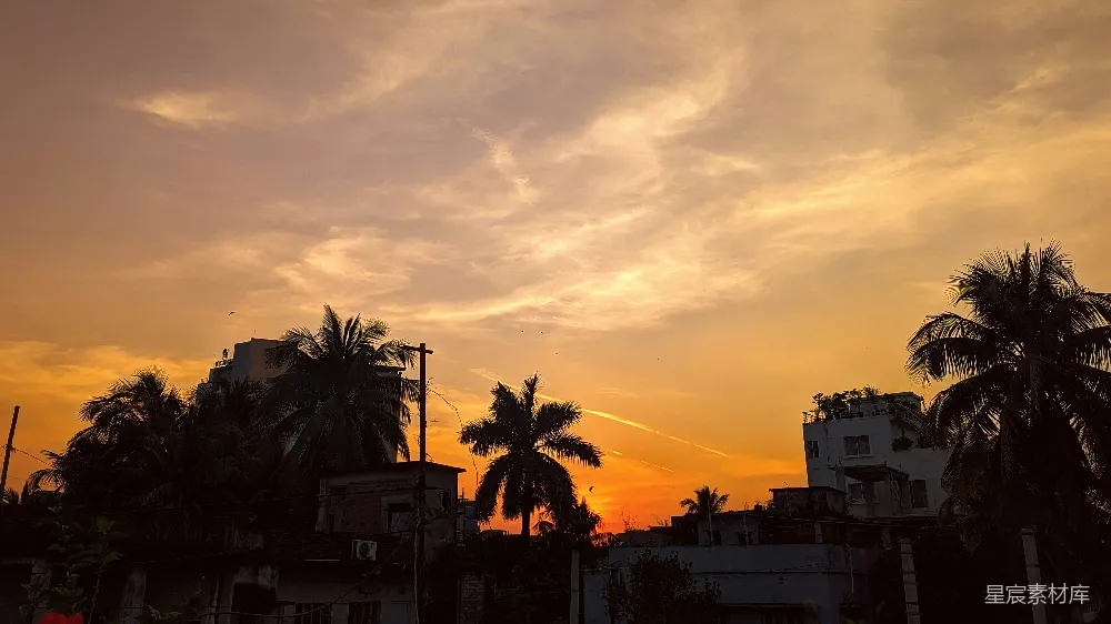 高清摄影  夕阳照耀在城市上空，棕榈树摇曳。