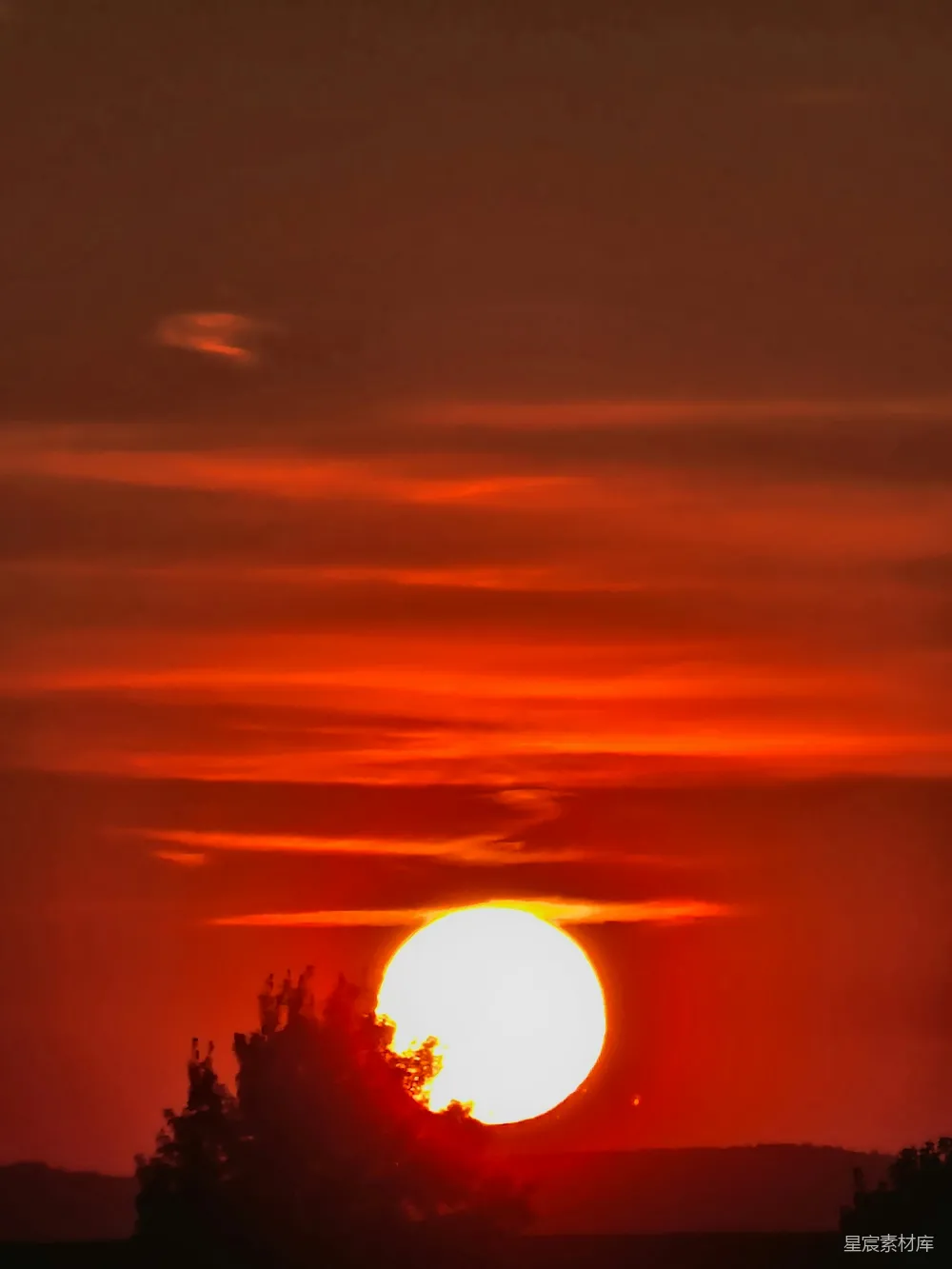 远处的树顶落下夕阳的余晖。