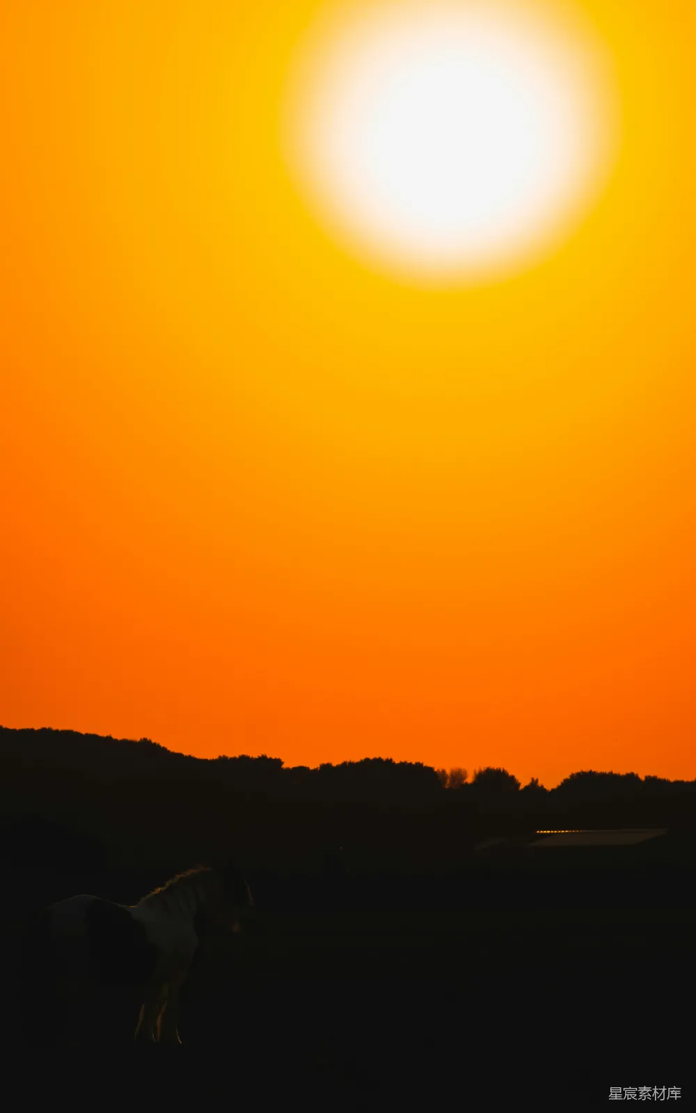 高清摄影 旅行 实验性 壁纸 自然 太阳正在田野上落下，前景中有一匹马。