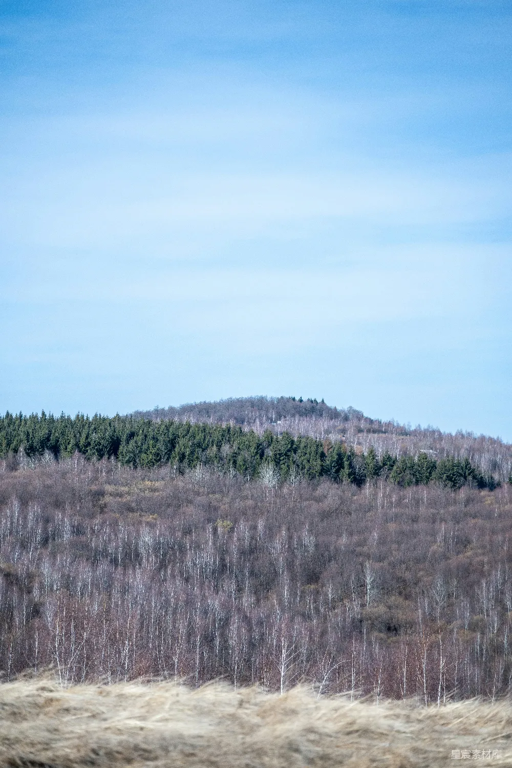 高清摄影 自然 一片有山丘背景的田野