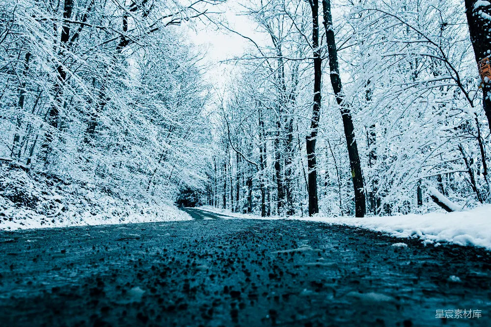 高清摄影  白天树木间覆盖着雪的路面