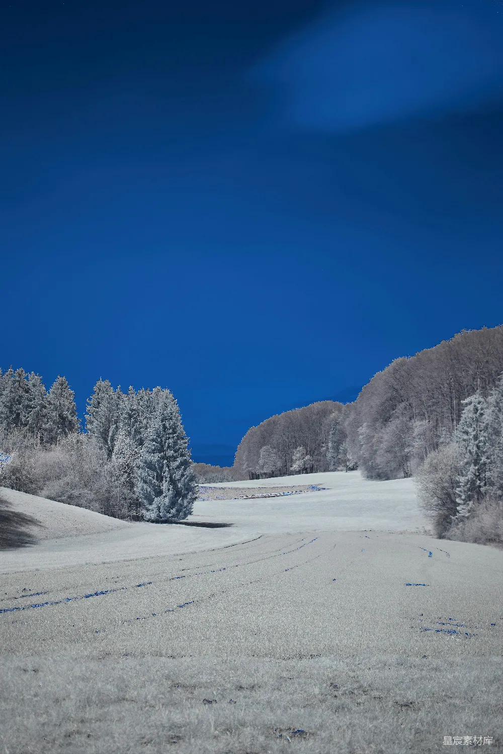 高清摄影 实验性 白天覆盖着积雪的树木和山脉