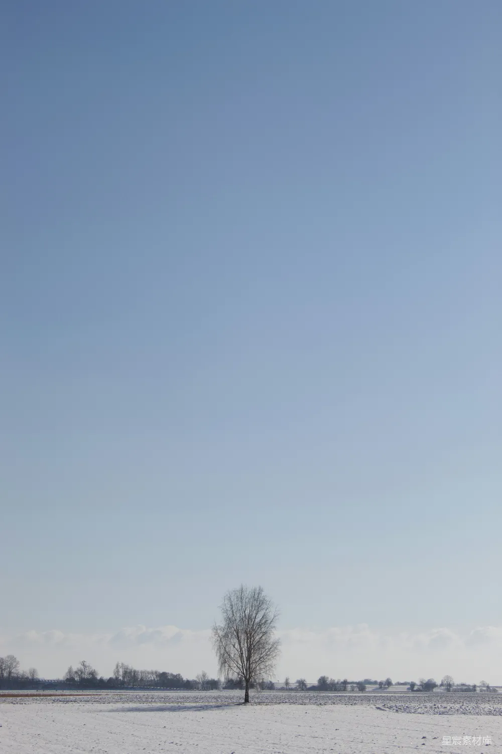 高清摄影  在一片雪地里，一棵孤独的树矗立在晴朗的天空下。