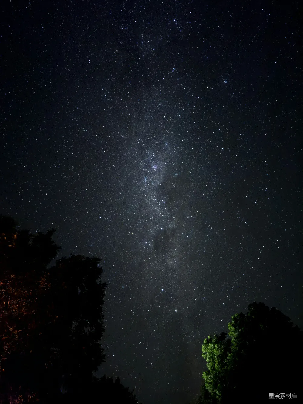 夜晚透过树木看到的银河 galaxy在夜晚透过树木中的景象