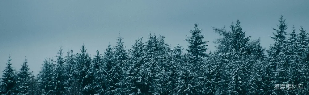 一个下雪且寒冷的德国森林，具有蓝色风格。