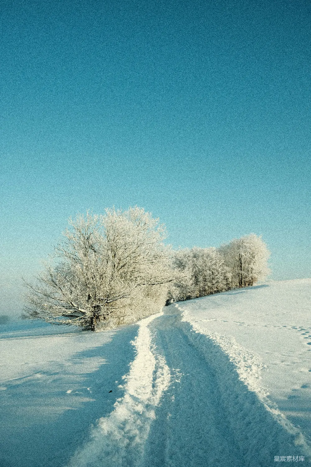 高清摄影  一条覆盖着雪的路，远处有树木。