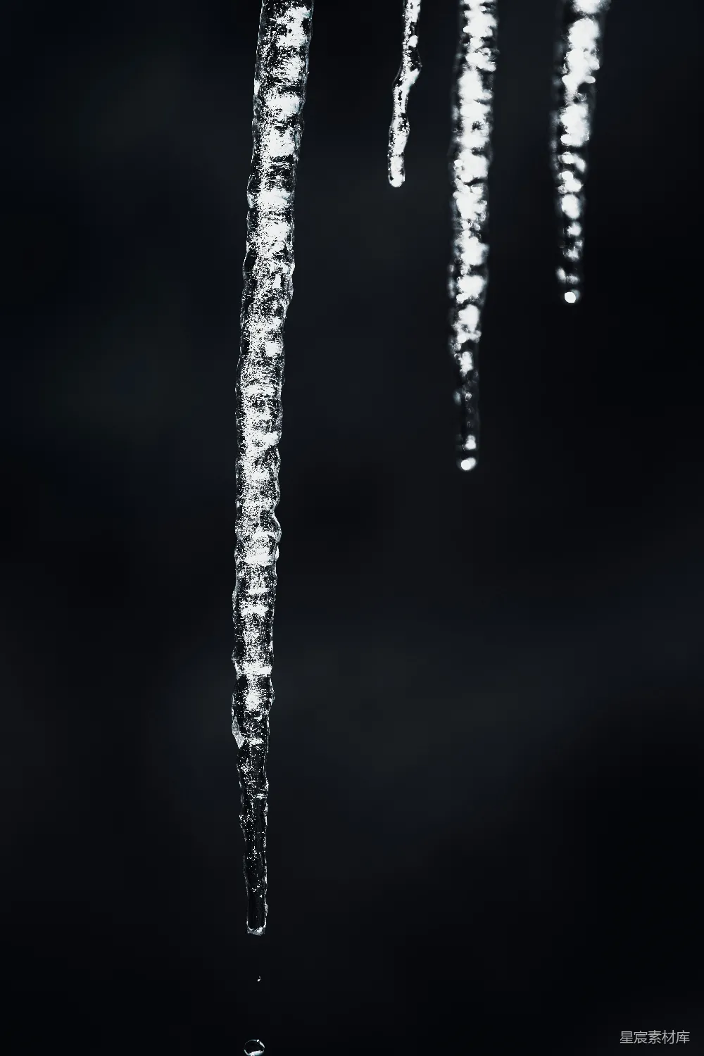 高清摄影  挂在黑暗中的树上的冰柱