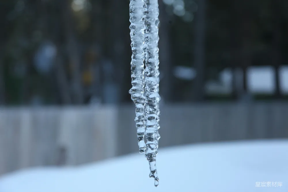 高清摄影  雪地里挂着的冰锥