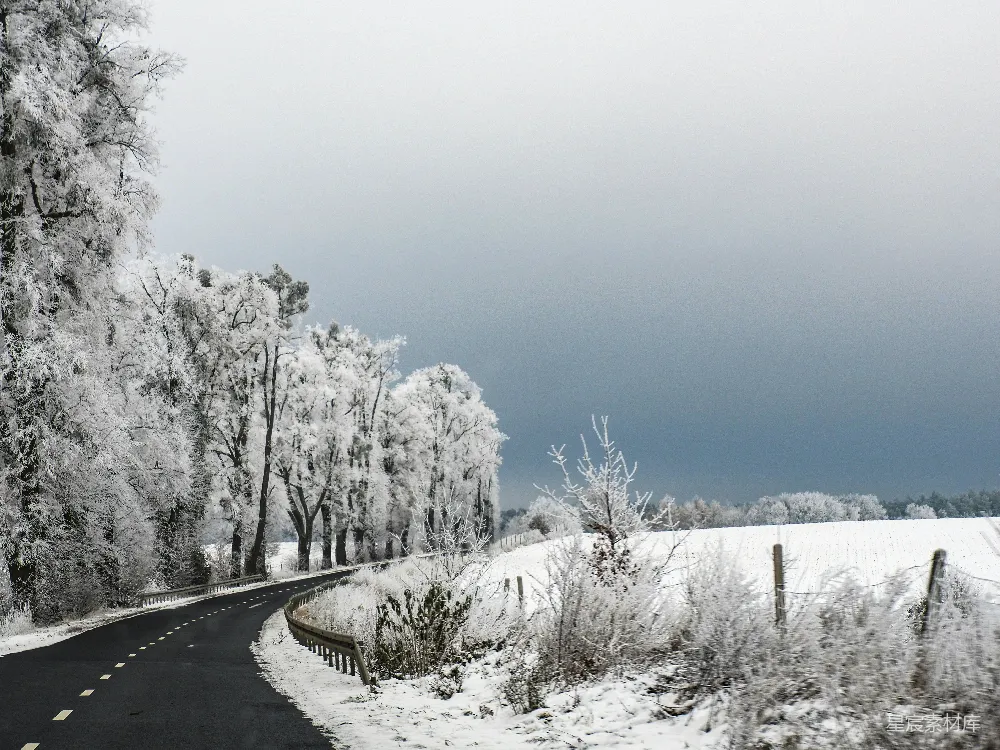 高清摄影  一条覆盖着雪的路，两旁是树木和栅栏。