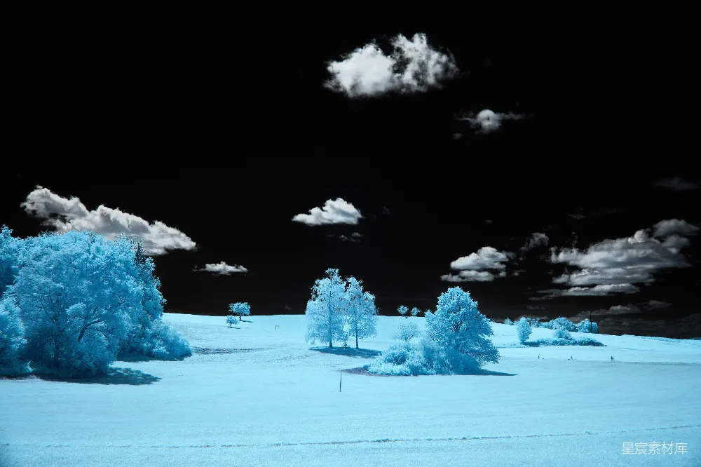 高清摄影 实验性 壁纸 一片雪景，有树木和云朵在空中。