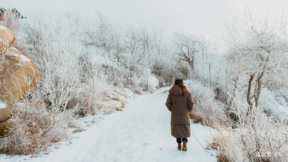 高清摄影  一个女人正走在覆盖着积雪的小路上。