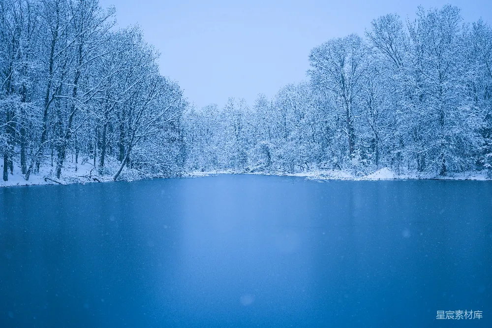 高清摄影  一片被雪覆盖的树木环绕的湖泊