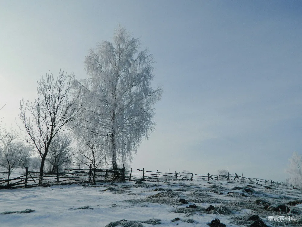 高清摄影  一片雪地，有一棵树和一道栅栏。
