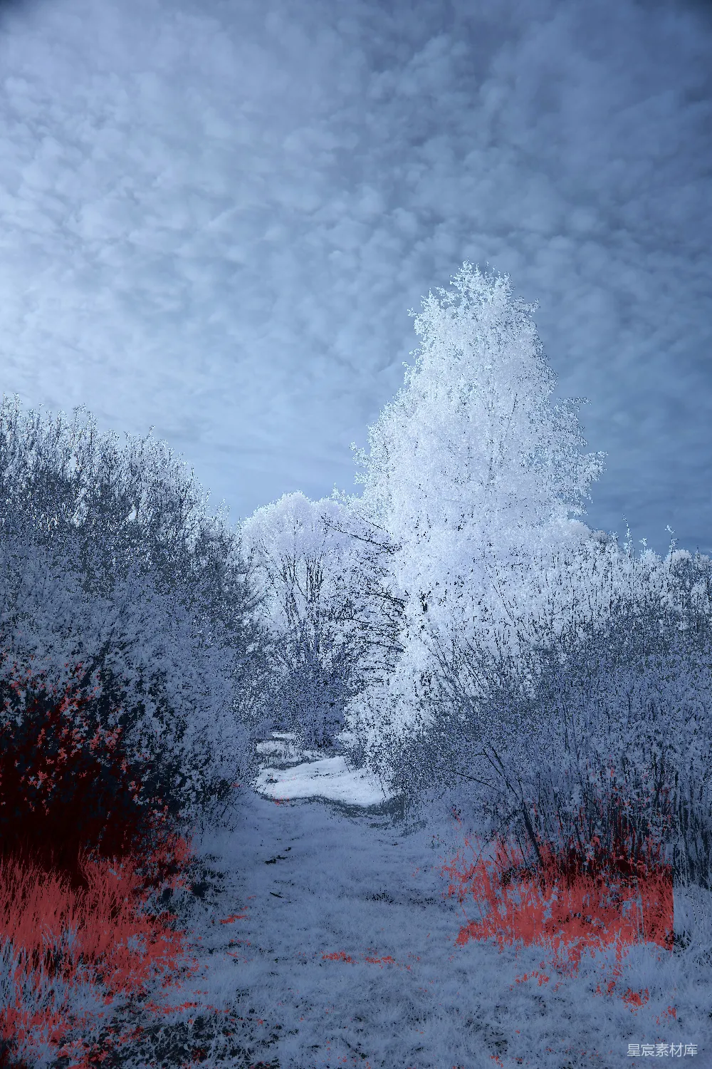 高清摄影 实验性 一条小路穿过雪地，宛如梦幻的景象。