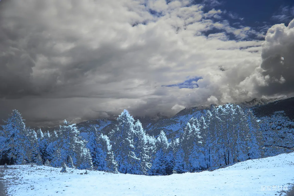 高清摄影 实验性 积雪覆盖的树木和山峦在阴云密布的天空下。