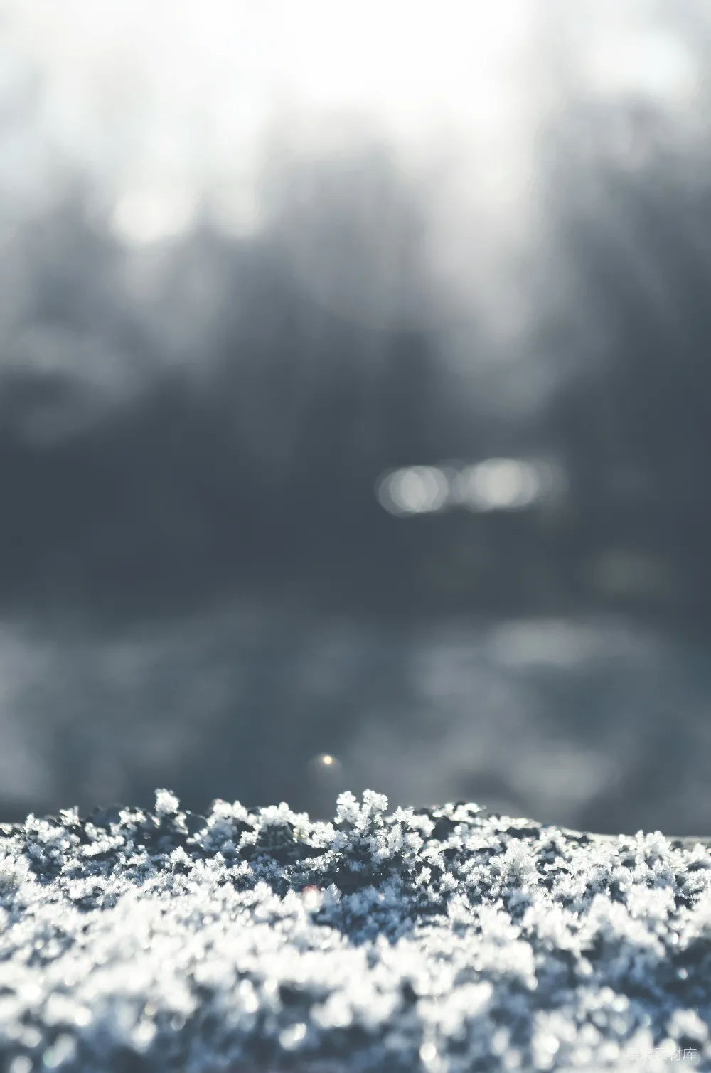 高清摄影 实验性 壁纸 地面上积雪的特写