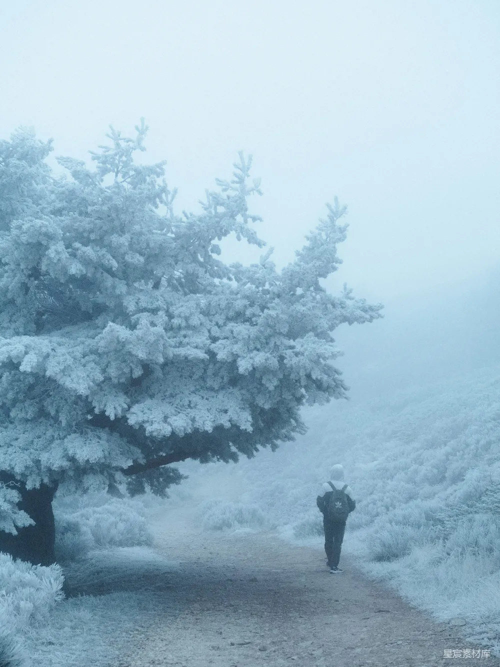 高清摄影 人物 一个人在雪地的小路上行走