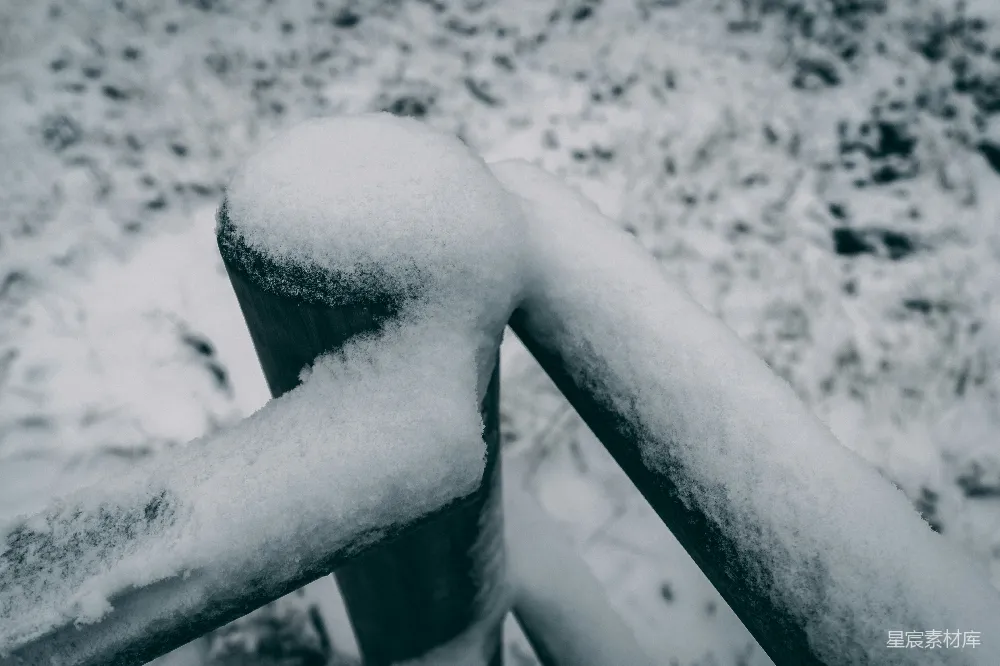 寒冷的冬季景观，结冰的沼泽雪地，位于拉脱维亚的凯梅里。