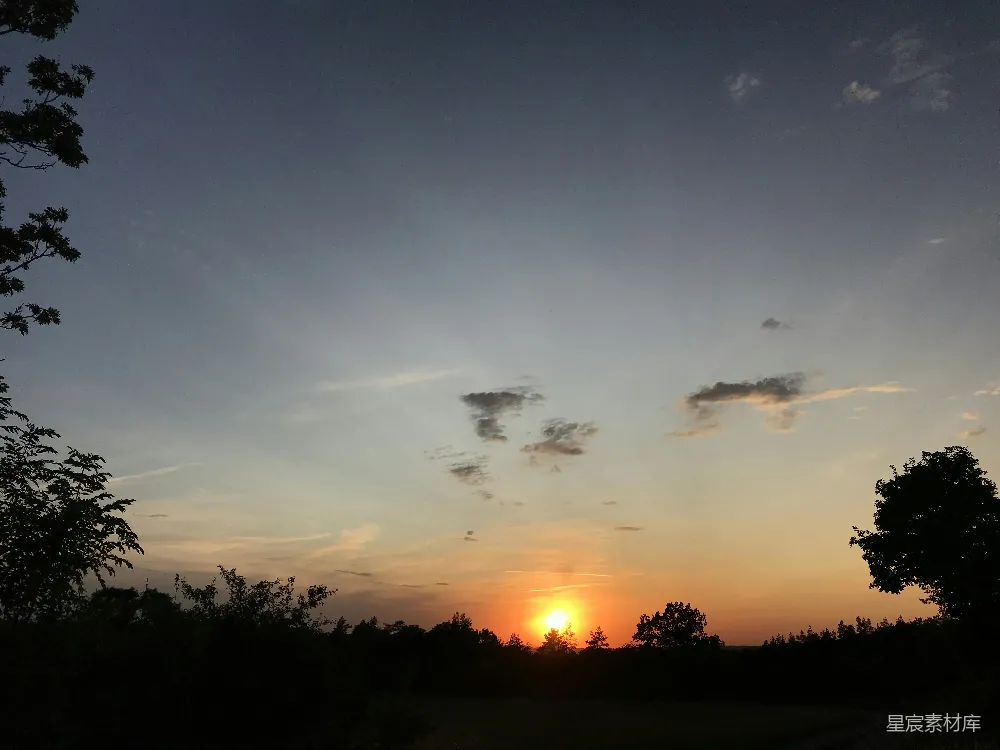 夕阳落下一片长满树木的田野