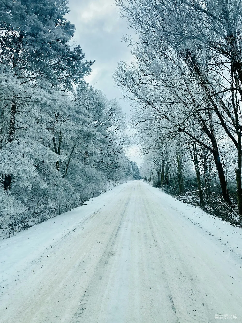 高清摄影  白天，树木覆盖着白雪的道路在蓝天映衬下显得格外宁静。