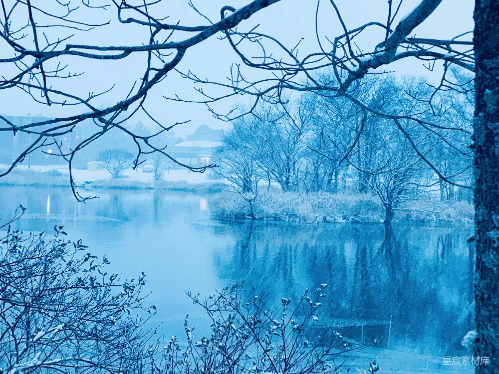 高清摄影  一片被树木覆盖的水面，树木上覆盖着积雪。
