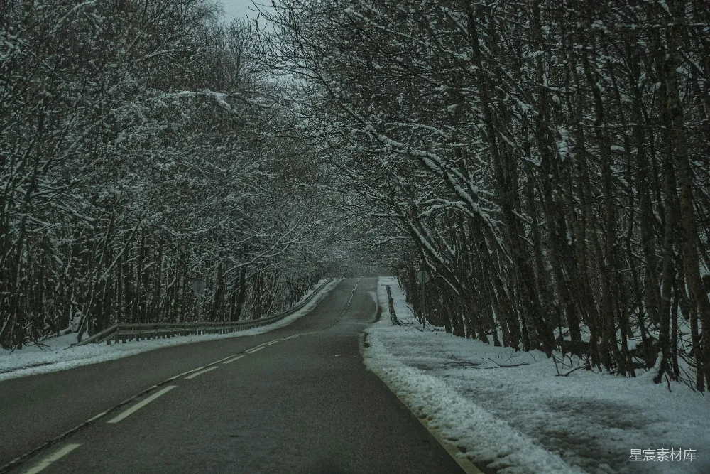 高清摄影 实验性 乐观 电影 旅行 自然 壁纸 一条蜿蜒穿过积雪覆盖的森林的小路