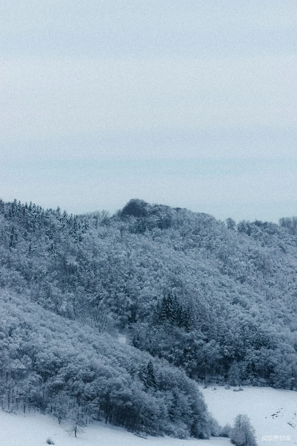 高清摄影  灰山上的绿树