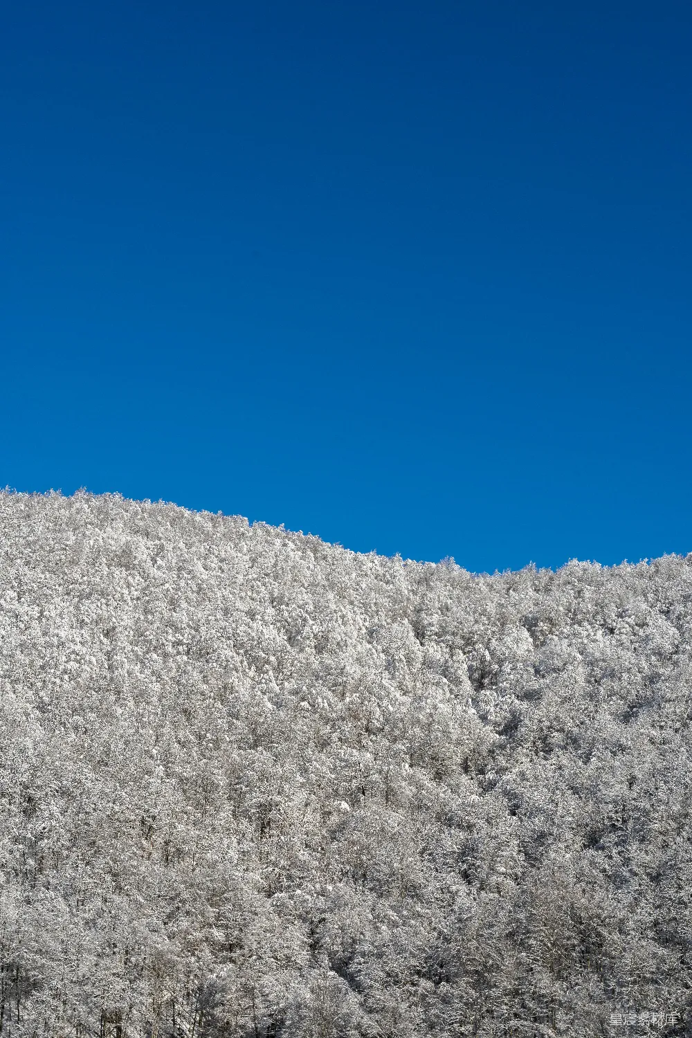 高清摄影 壁纸 自然 旅行 一个男人在雪覆盖的斜坡上滑雪板滑行。