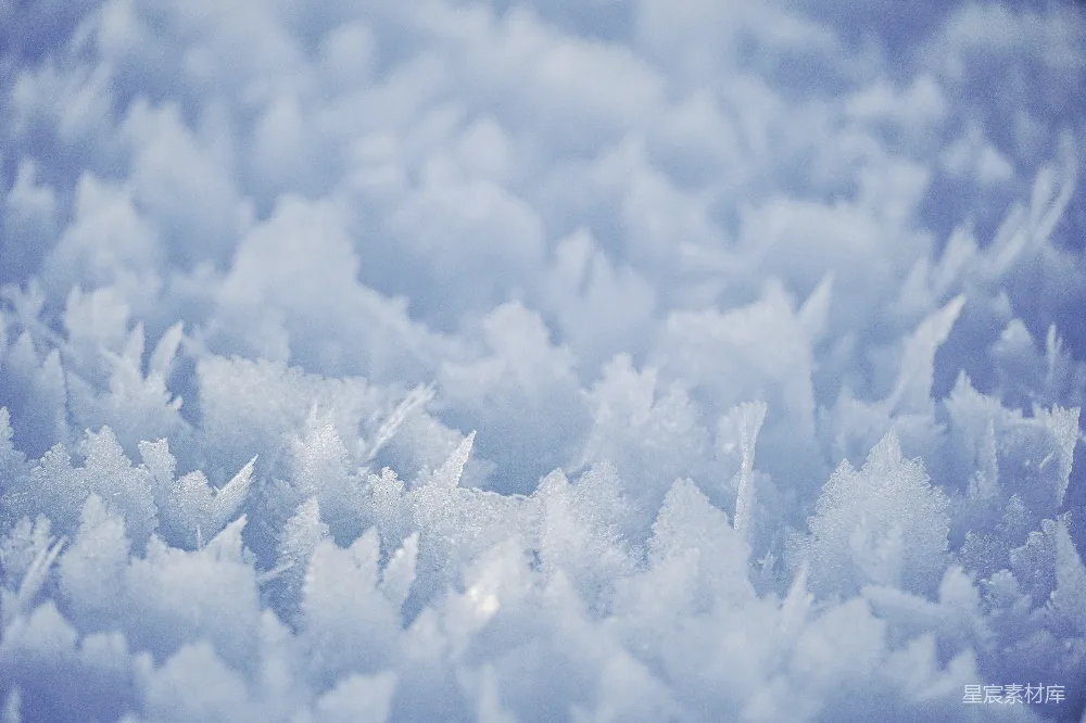 高清摄影  一簇雪花的特写