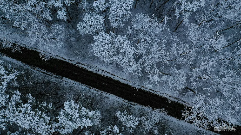 高清摄影  一条被积雪覆盖的树木环绕的道路的空中俯瞰图
