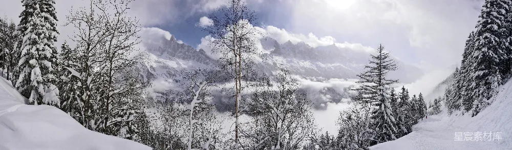 高清摄影  白天被雪覆盖的树木和山脉
