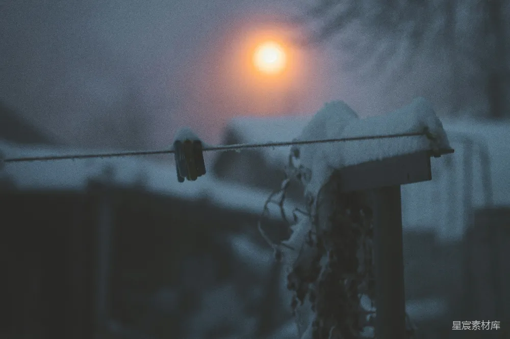 高清摄影  一只鸟正站在雪地里的电线杆上。