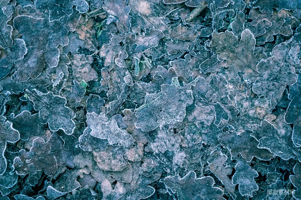 高清摄影 自然 壁纸 灰色和白色石片