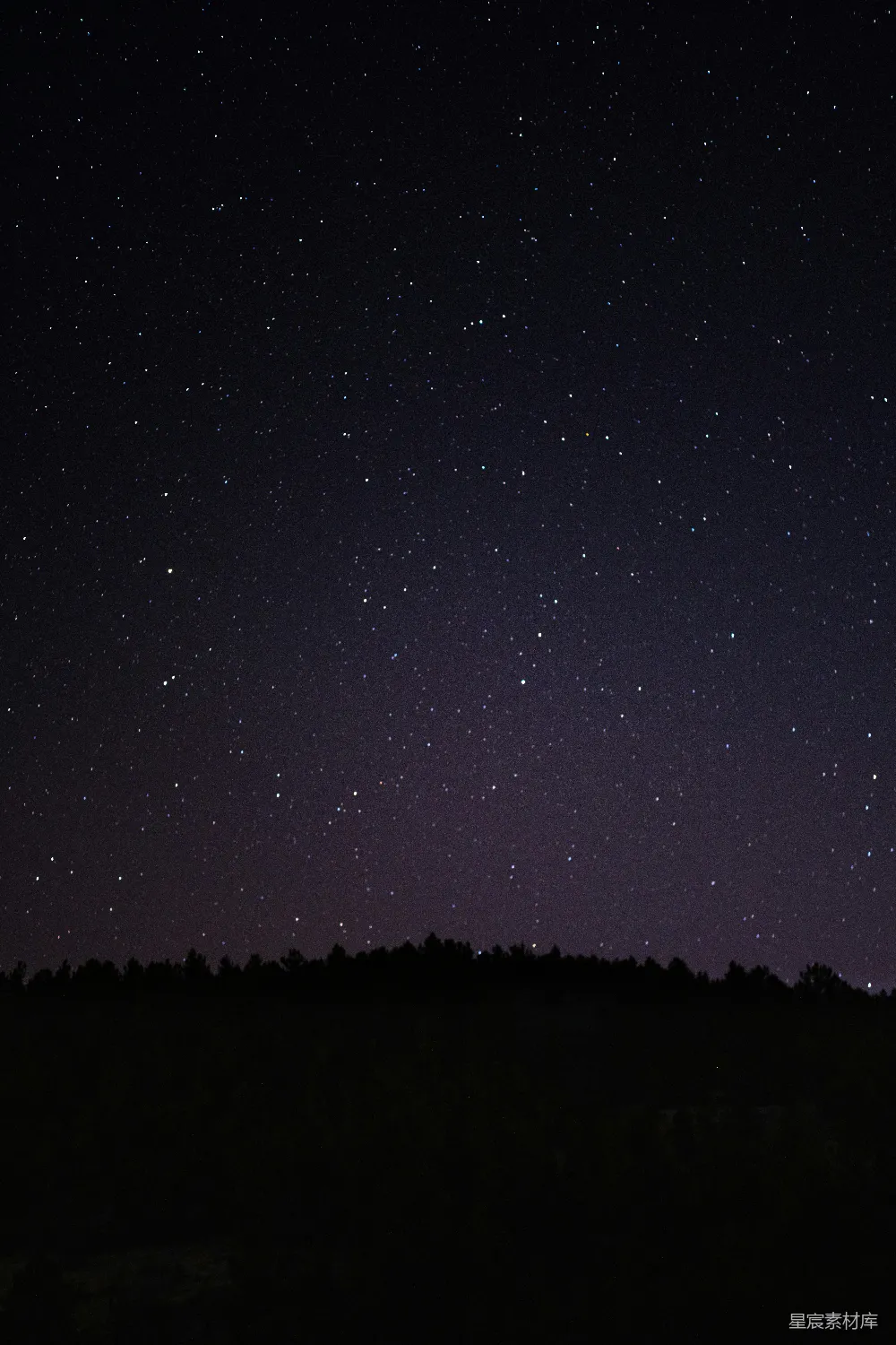 夜空被星星填满，树的轮廓若隐若现。