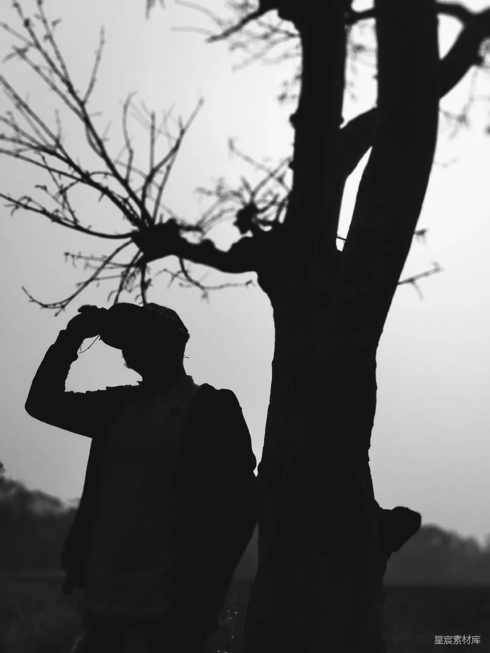高清摄影  白天站在光秃秃的树旁的男子剪影
