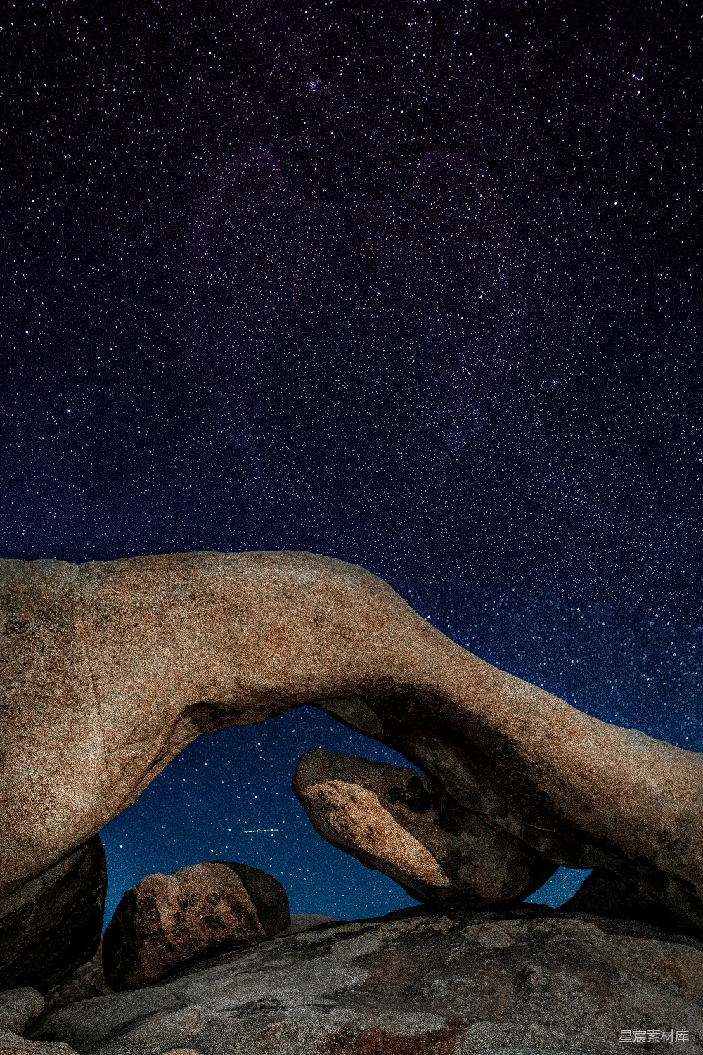 高清摄影 自然 壁纸 旅行 约书亚树在星空下的剪影