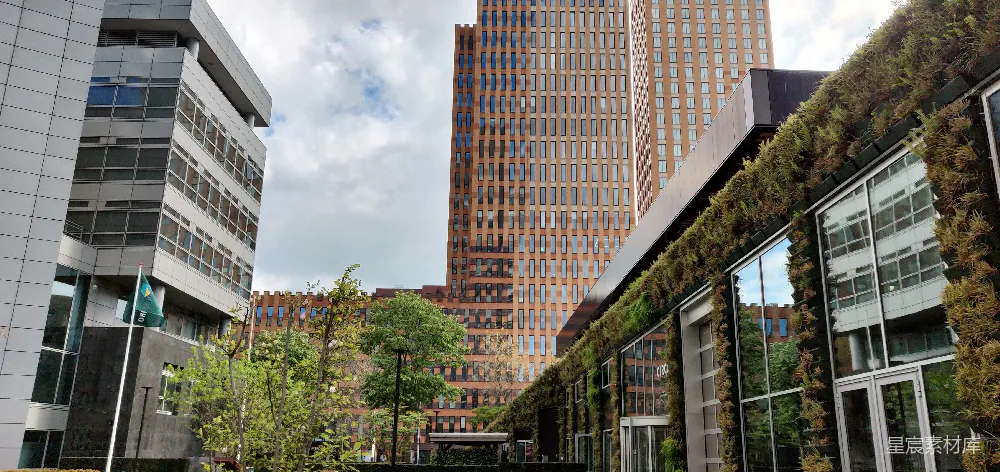 一组建筑