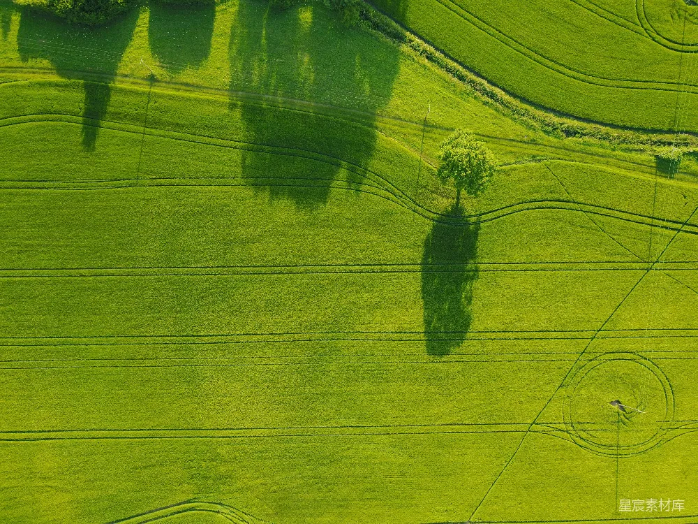 绿色田野的 aerial 拍照