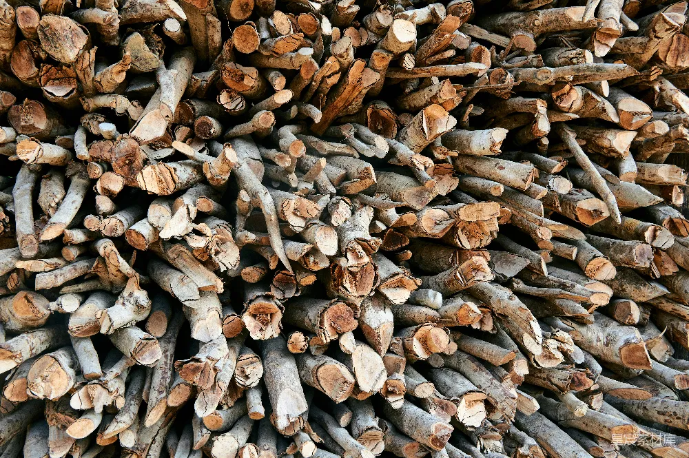 高清摄影  一大堆砍好的柴火